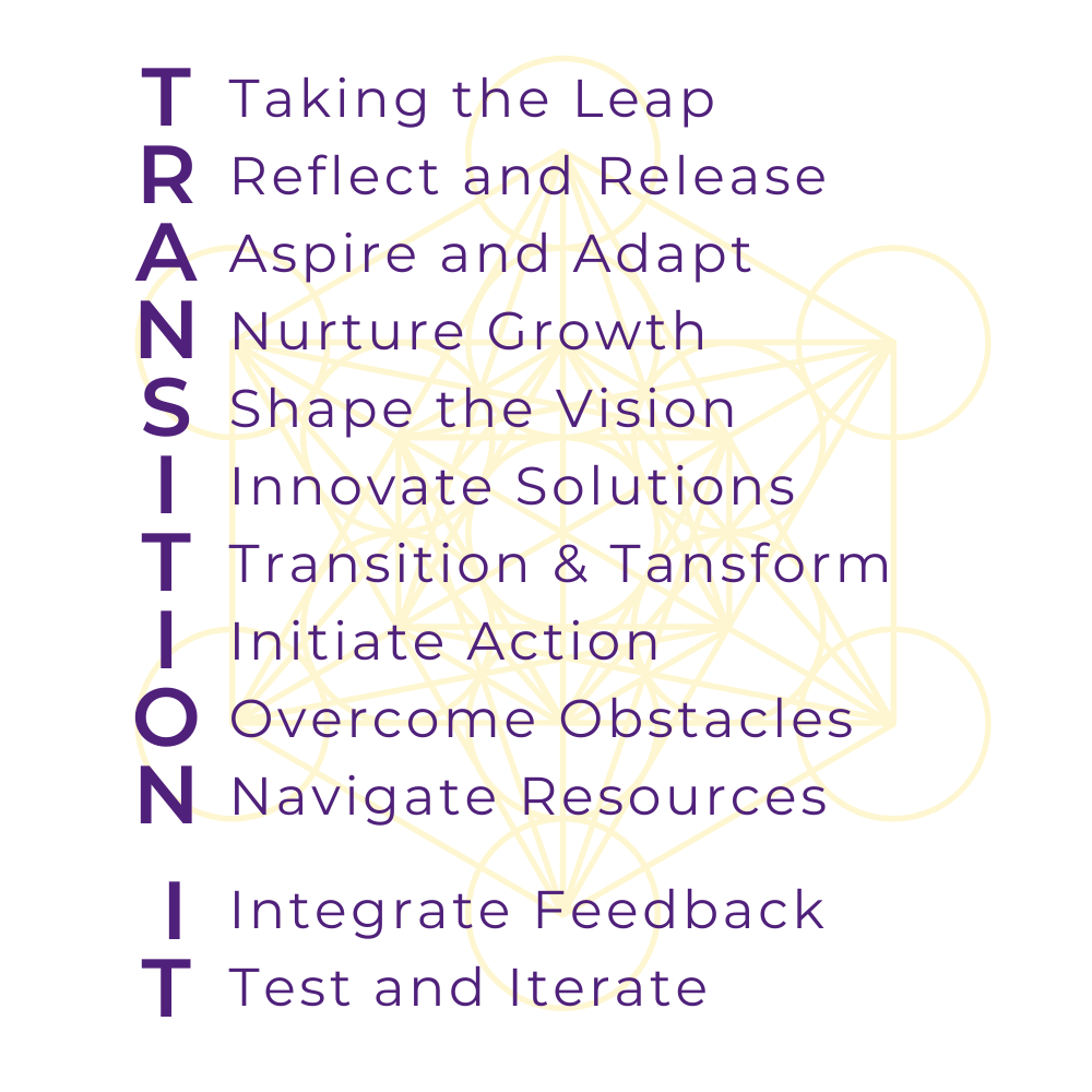 Transition It Program