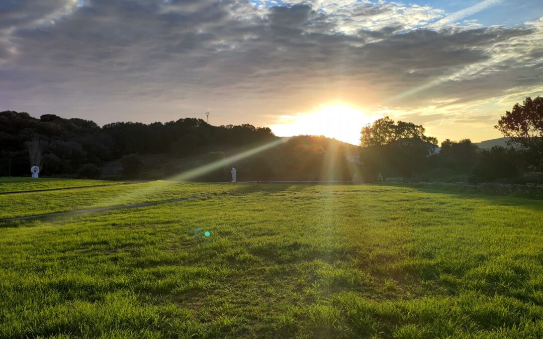 Energy Healing in Times of War